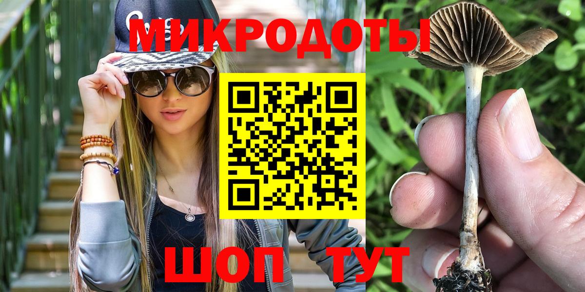 Псилоцибиновые грибы Psilocybine cubensis Шахты