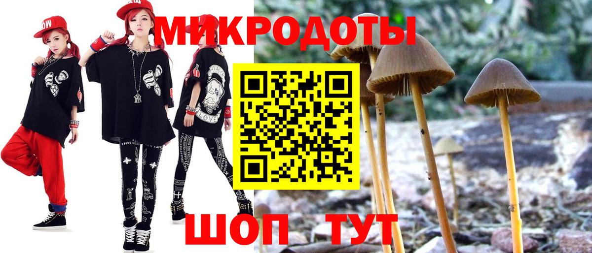 Шахты  Галлюциногенные грибы прущие грибы  Вход с VPN  Псилоцибиновые грибы прущие грибы 